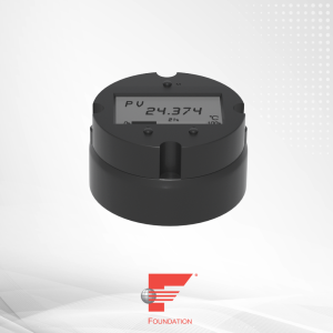 MS0213 Модуль преобразователя температуры FF с двумя входами